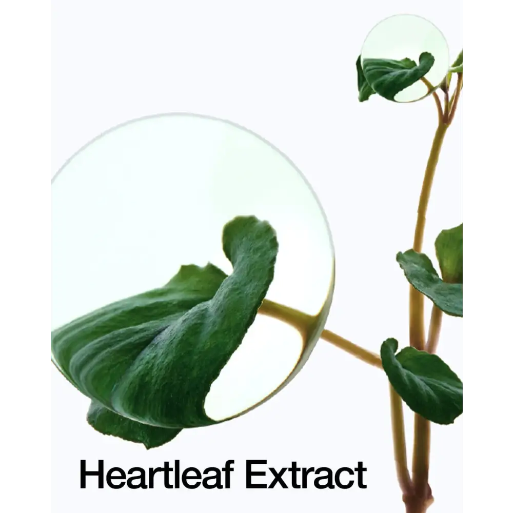 Eau Nettoyante Profonde Low pH Heartleaf – Image 5